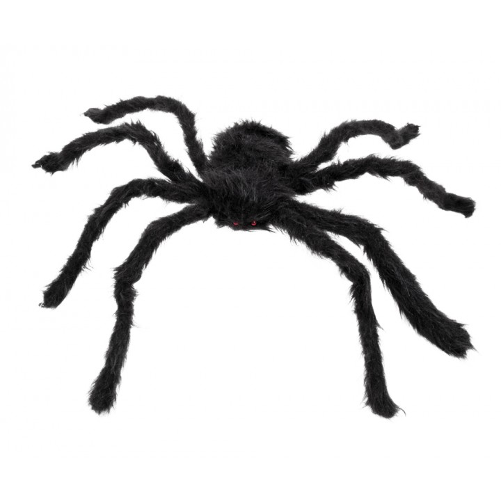 Araignée géante noire